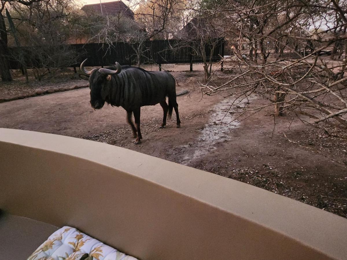 Kudus Crest Bush Retreat Lejlighed Marloth Park Eksteriør billede